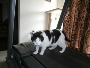 I'm on the treadmill for hours a day and still my spots keep getting bigger!